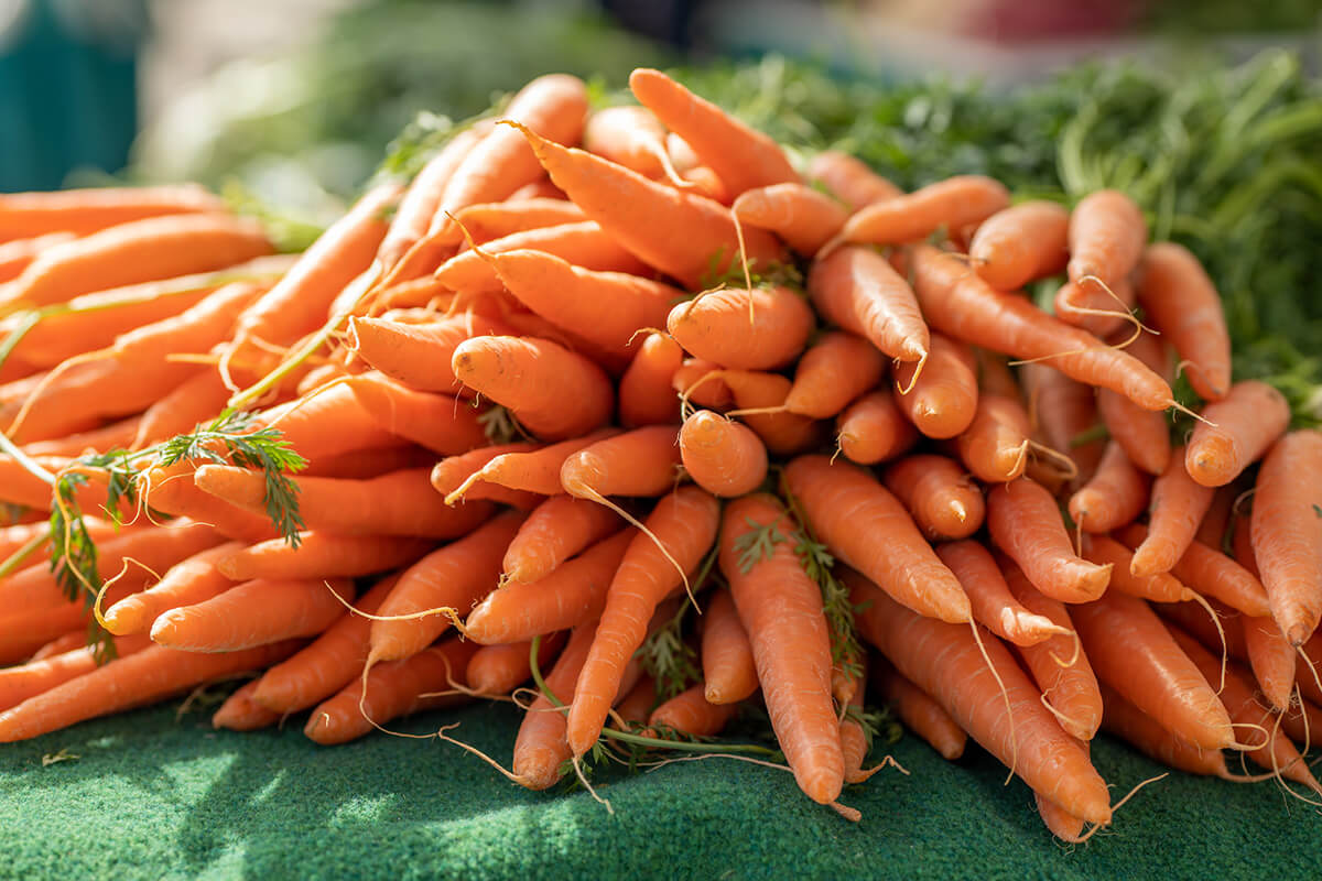 Frische, orangene Karotten auf einem grünen Tuch zum Verkauf.