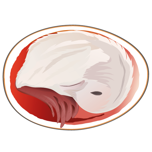 Abgebildet ist ein Teller mit einer großen Portion rohem Fischfleisch.