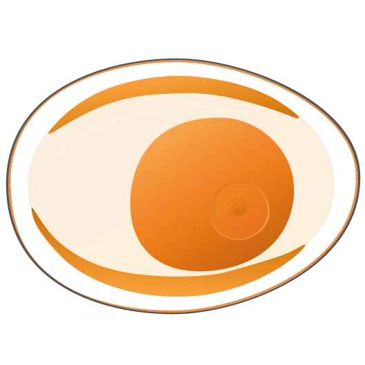 Abstrakte Darstellung eines Eies in Orangetönen auf weißem Hintergrund.